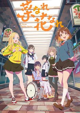 云南优质seo优化